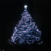 Borek – rozsvícení vánočního stromu a setkání seniorů